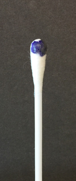 positive oxidase test